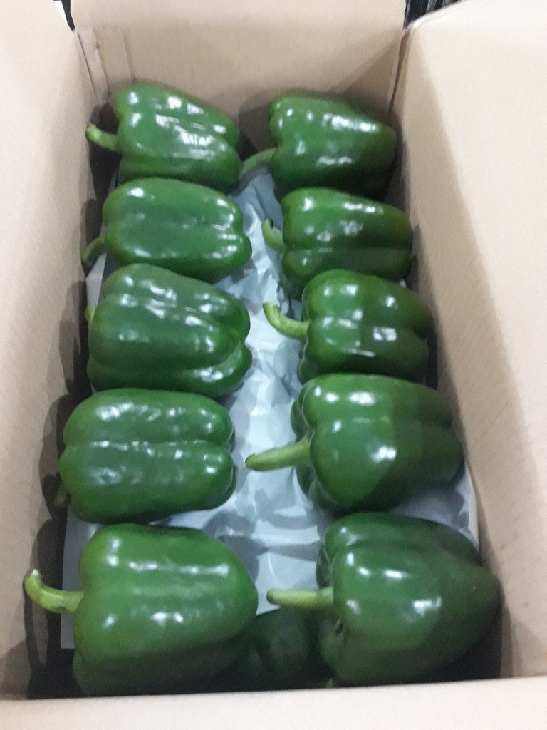 OtChuongXanh_05.jpg